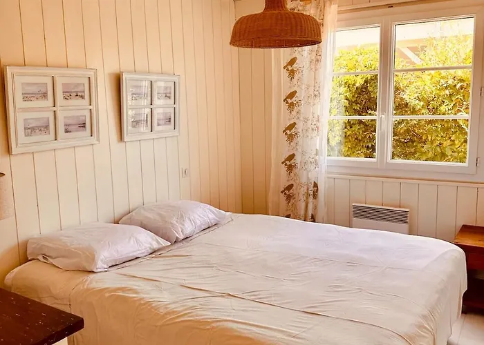 Biscarosse Lac, Maison Cosy A Deux Pas Du Vakantiehuis Biscarrosse